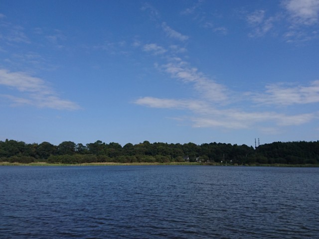 プロショップオオツカ バスフィッシング用品ネット通信販売 ブログ写真 2016/10/12