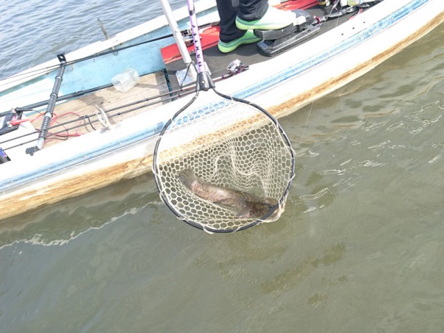 プロショップオオツカ バスフィッシング用品ネット通信販売 ブログ写真 2016/10/12