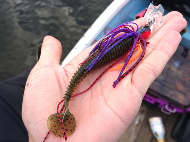 プロショップオオツカ バスフィッシング用品ネット通信販売 ブログ写真 2016/10/12