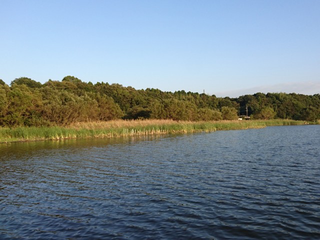 プロショップオオツカ バスフィッシング用品ネット通信販売 ブログ写真 2016/10/12