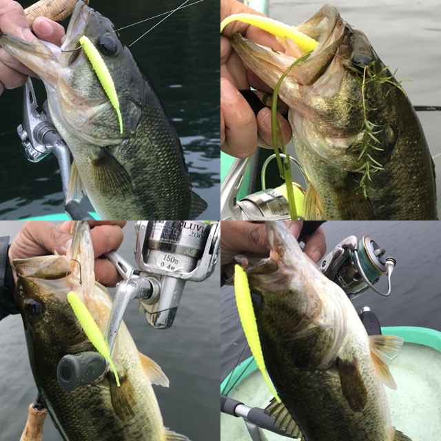 プロショップオオツカ バスフィッシング用品ネット通信販売 ブログ写真 2016/10/15