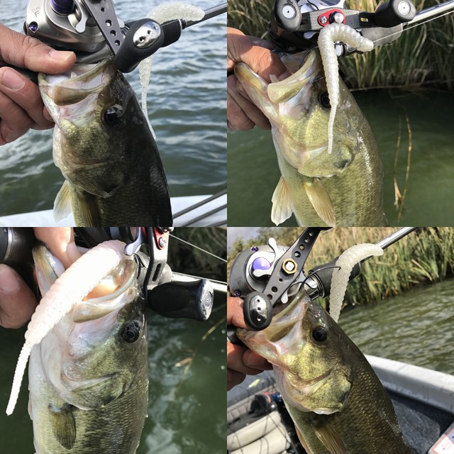 プロショップオオツカ バスフィッシング用品ネット通信販売 ブログ写真 2016/10/15