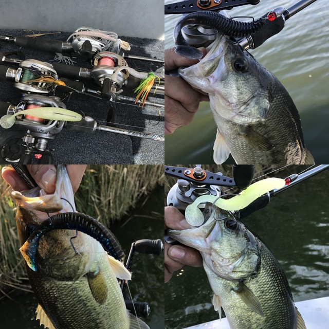 プロショップオオツカ バスフィッシング用品ネット通信販売 ブログ写真 2016/10/15