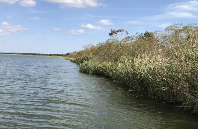 プロショップオオツカ バスフィッシング用品ネット通信販売 ブログ写真 2016/10/15