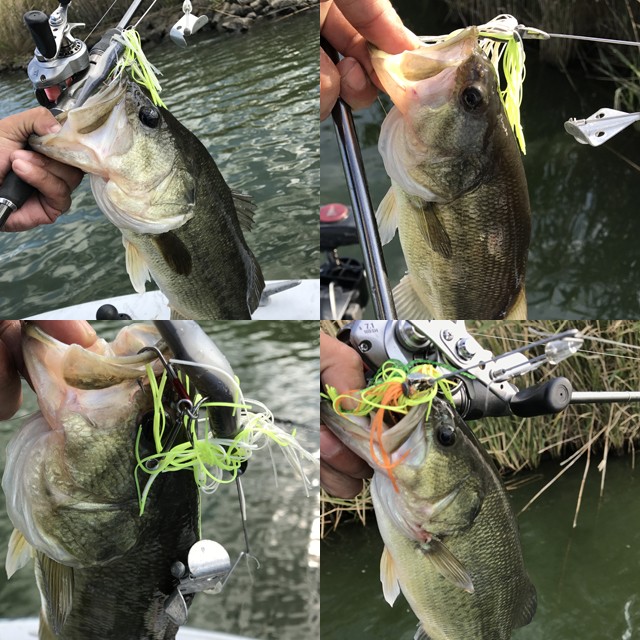 プロショップオオツカ バスフィッシング用品ネット通信販売 ブログ写真 2016/10/15