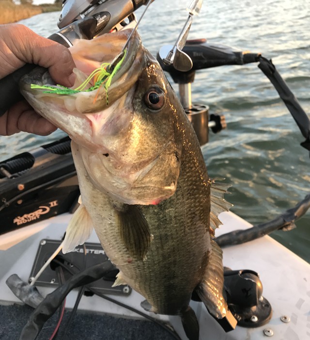 プロショップオオツカ バスフィッシング用品ネット通信販売 ブログ写真 2016/10/15