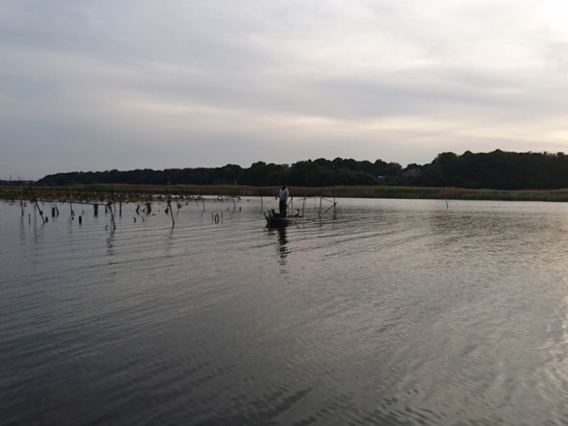 プロショップオオツカ バスフィッシング用品ネット通信販売 ブログ写真 2016/10/26