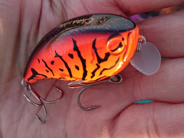 プロショップオオツカ バスフィッシング用品ネット通信販売 ブログ写真 2016/10/26