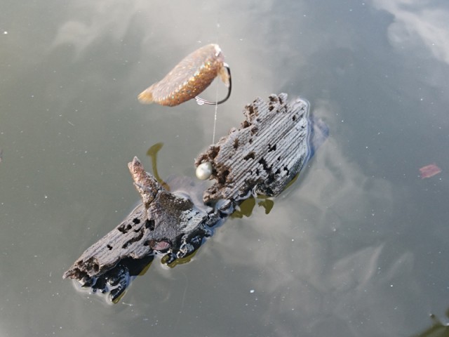 プロショップオオツカ バスフィッシング用品ネット通信販売 ブログ写真 2016/10/26