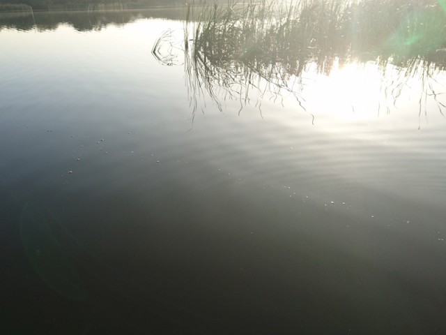 プロショップオオツカ バスフィッシング用品ネット通信販売 ブログ写真 2016/10/26