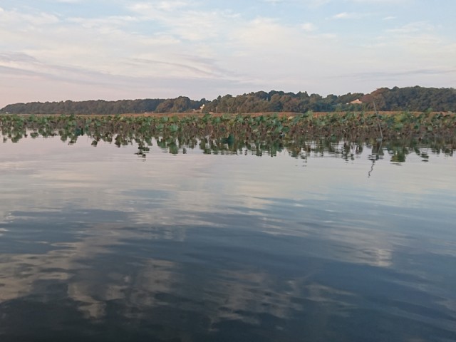 プロショップオオツカ バスフィッシング用品ネット通信販売 ブログ写真 2016/10/26