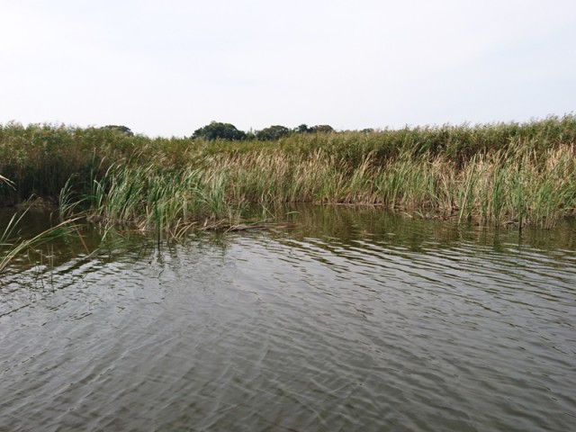 プロショップオオツカ バスフィッシング用品ネット通信販売 ブログ写真 2016/10/26