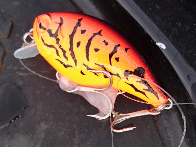 プロショップオオツカ バスフィッシング用品ネット通信販売 ブログ写真 2016/10/26