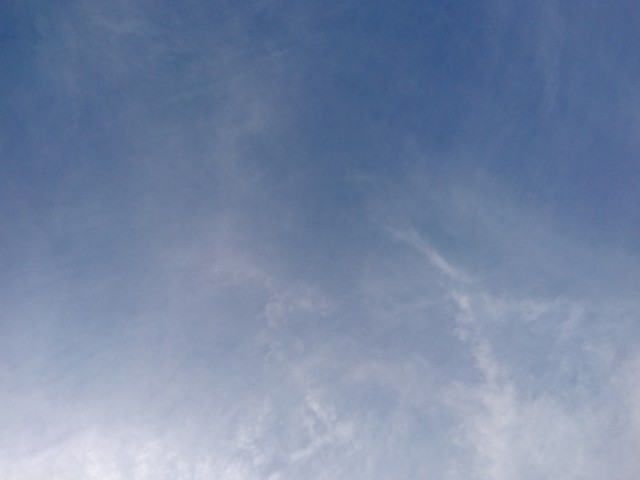 プロショップオオツカ バスフィッシング用品ネット通信販売 ブログ写真 2016/10/26