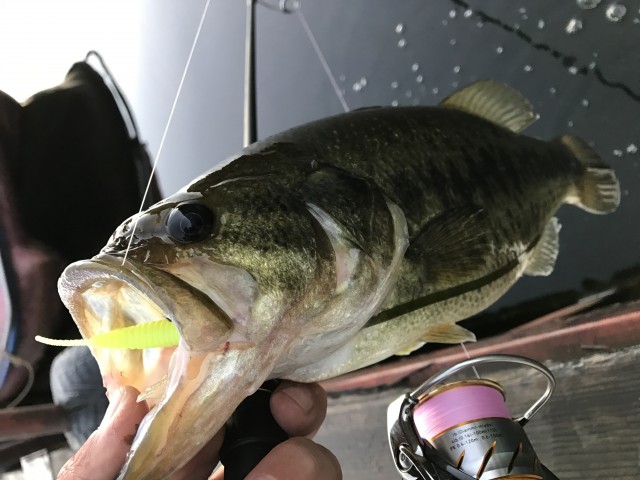 プロショップオオツカ バスフィッシング用品ネット通信販売 ブログ写真 2016/10/28