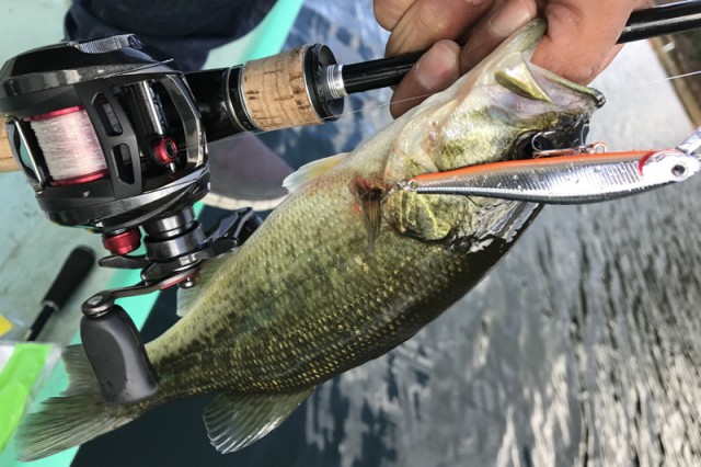 プロショップオオツカ バスフィッシング用品ネット通信販売 ブログ写真 2016/10/28