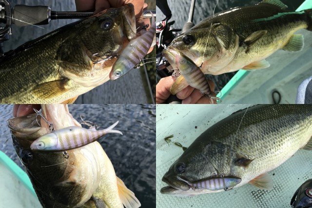 プロショップオオツカ バスフィッシング用品ネット通信販売 ブログ写真 2016/10/28