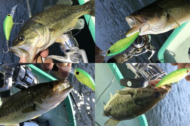 プロショップオオツカ バスフィッシング用品ネット通信販売 ブログ写真 2016/10/28