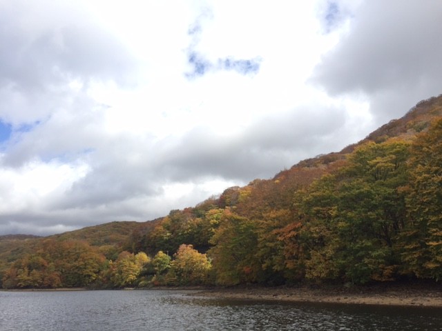 プロショップオオツカ バスフィッシング用品ネット通信販売 ブログ写真 2016/10/31