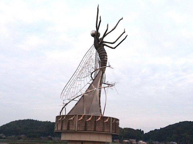 プロショップオオツカ バスフィッシング用品ネット通信販売 ブログ写真 2016/11/02