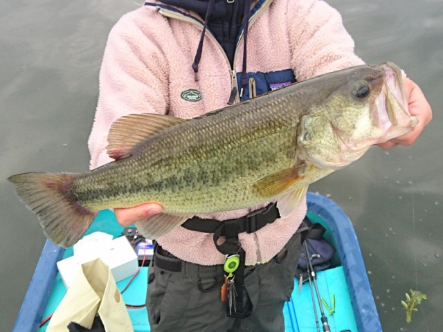 プロショップオオツカ バスフィッシング用品ネット通信販売 ブログ写真 2016/11/02