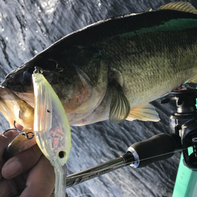 プロショップオオツカ バスフィッシング用品ネット通信販売 ブログ写真 2016/11/18