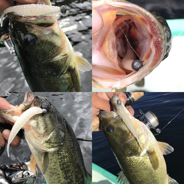 プロショップオオツカ バスフィッシング用品ネット通信販売 ブログ写真 2016/11/18