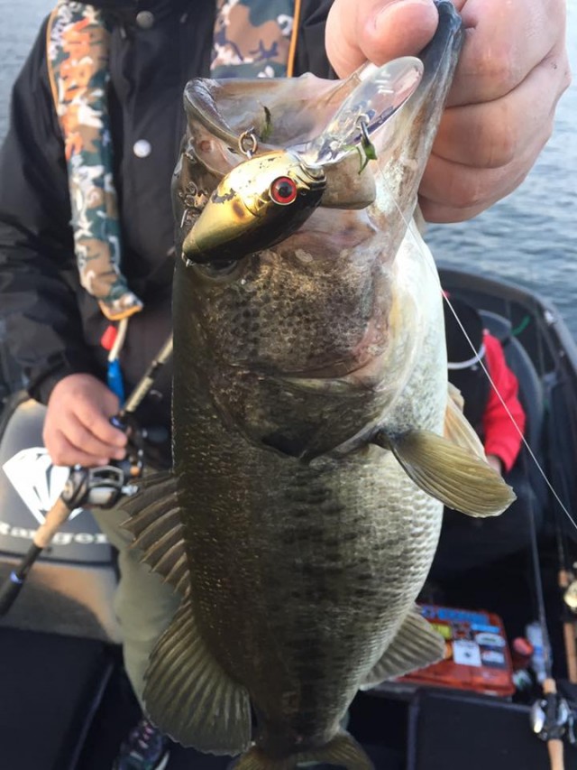 プロショップオオツカ バスフィッシング用品ネット通信販売 ブログ写真 2016/11/20