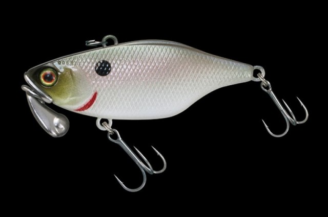 プロショップオオツカ バスフィッシング用品ネット通信販売 ブログ写真 2016/12/23