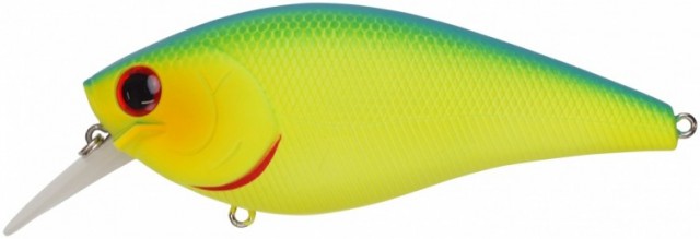 プロショップオオツカ バスフィッシング用品ネット通信販売 ブログ写真 2017/01/27