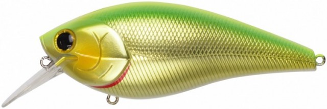 プロショップオオツカ バスフィッシング用品ネット通信販売 ブログ写真 2017/01/27