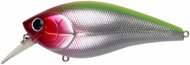 プロショップオオツカ バスフィッシング用品ネット通信販売 ブログ写真 2017/01/27