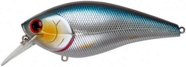 プロショップオオツカ バスフィッシング用品ネット通信販売 ブログ写真 2017/01/27