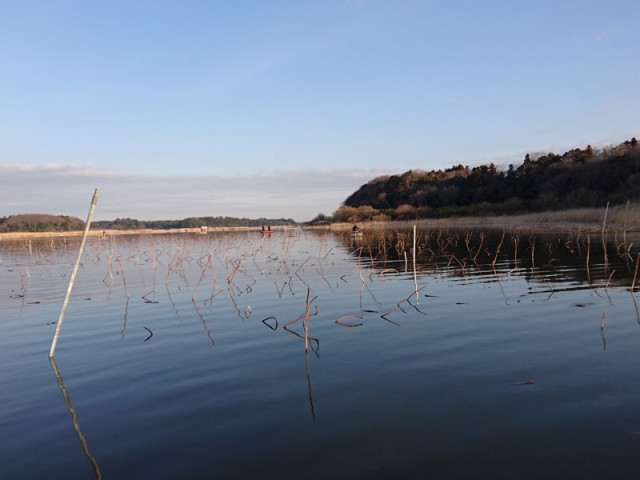 プロショップオオツカ バスフィッシング用品ネット通信販売 ブログ写真 2017/03/15