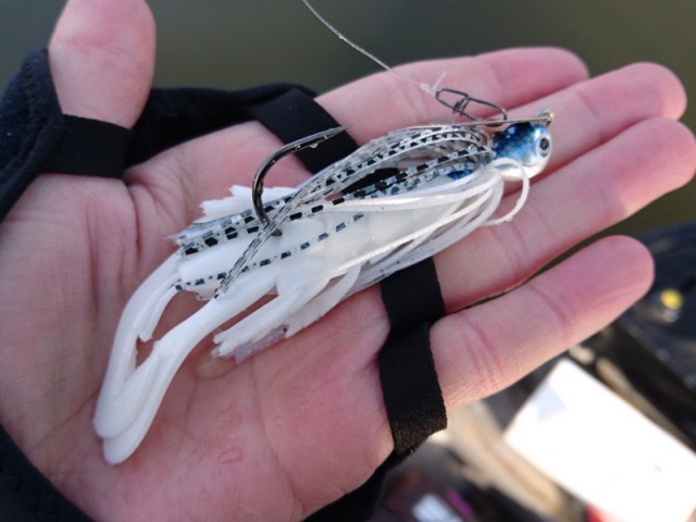 プロショップオオツカ バスフィッシング用品ネット通信販売 ブログ写真 2017/03/15