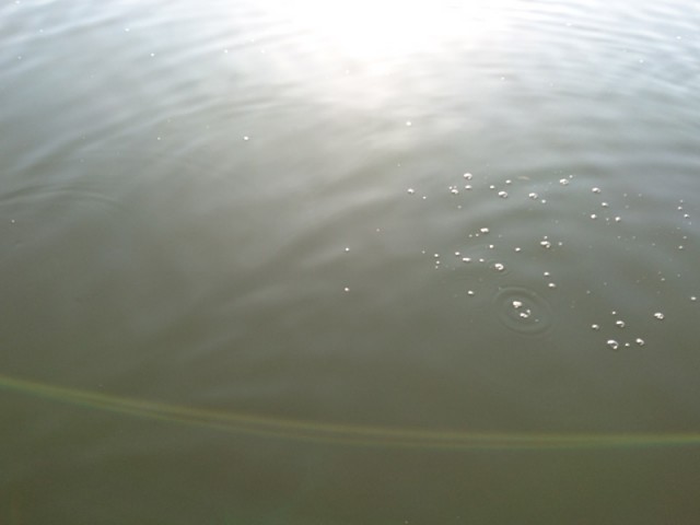 プロショップオオツカ バスフィッシング用品ネット通信販売 ブログ写真 2017/03/15