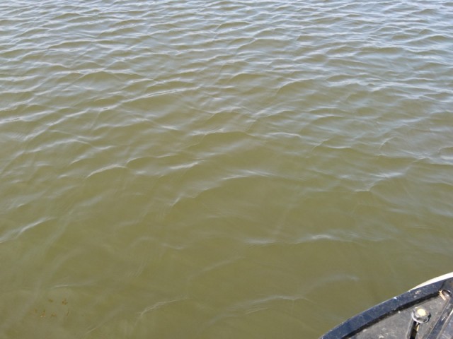 プロショップオオツカ バスフィッシング用品ネット通信販売 ブログ写真 2017/03/15