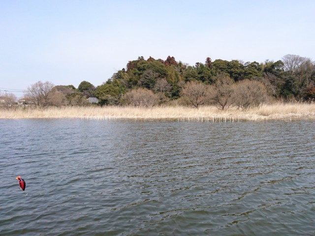 プロショップオオツカ バスフィッシング用品ネット通信販売 ブログ写真 2017/03/15