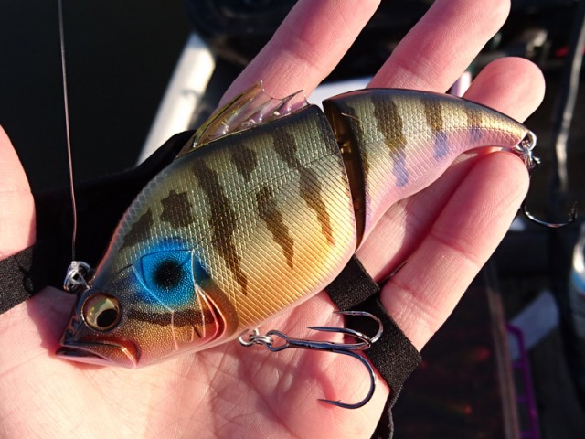 プロショップオオツカ バスフィッシング用品ネット通信販売 ブログ写真 2017/03/15