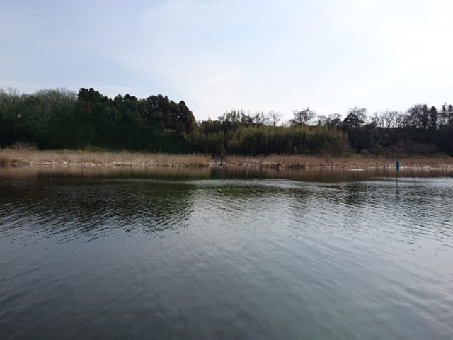 プロショップオオツカ バスフィッシング用品ネット通信販売 ブログ写真 2017/03/15