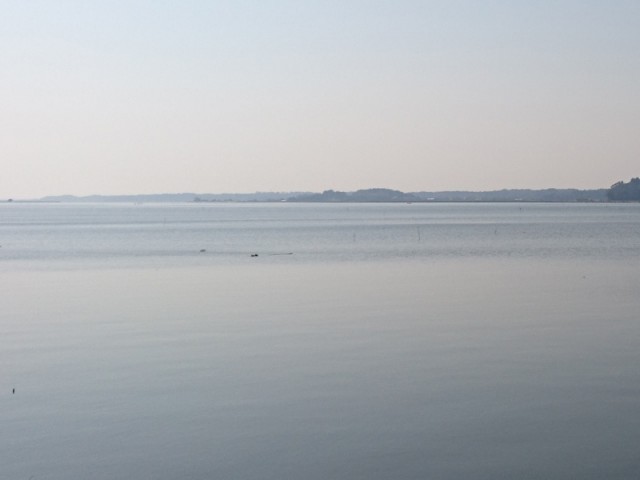 プロショップオオツカ バスフィッシング用品ネット通信販売 ブログ写真 2017/04/09