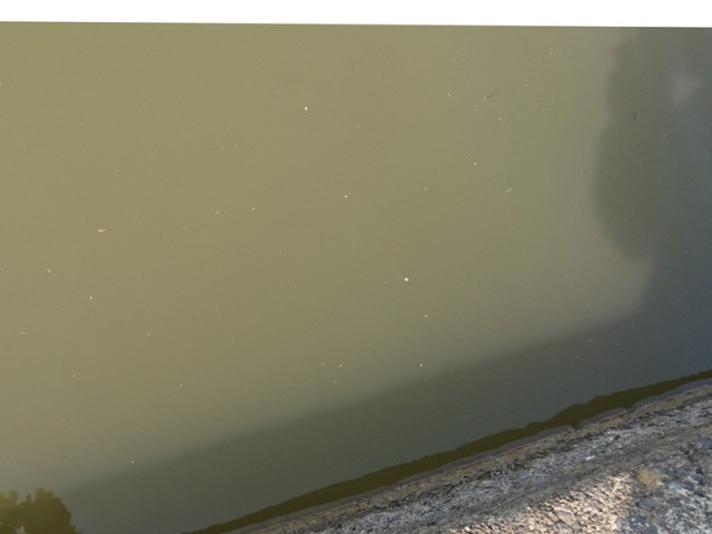 プロショップオオツカ バスフィッシング用品ネット通信販売 ブログ写真 2017/04/09