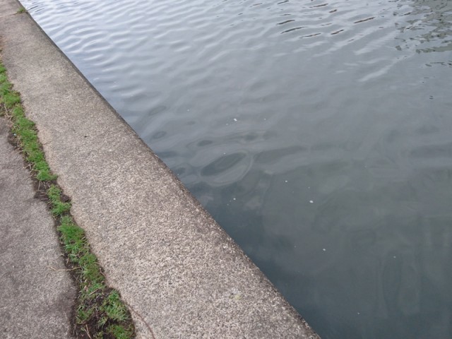 プロショップオオツカ バスフィッシング用品ネット通信販売 ブログ写真 2017/04/14