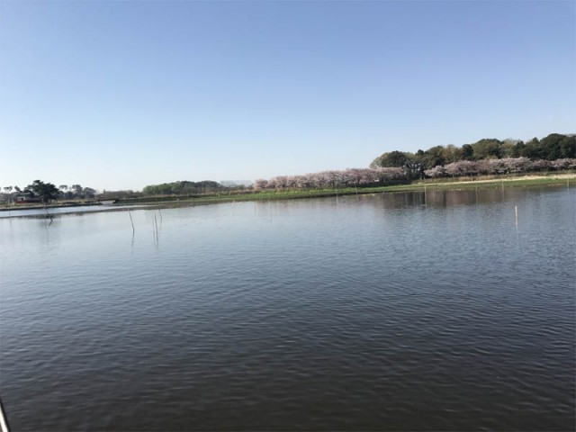 プロショップオオツカ バスフィッシング用品ネット通信販売 ブログ写真 2017/04/15