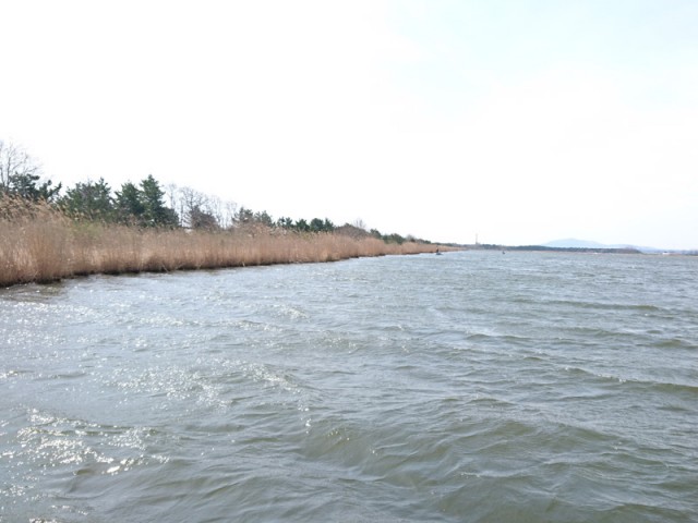 プロショップオオツカ バスフィッシング用品ネット通信販売 ブログ写真 2017/04/29