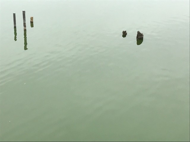 プロショップオオツカ バスフィッシング用品ネット通信販売 ブログ写真 2017/05/10