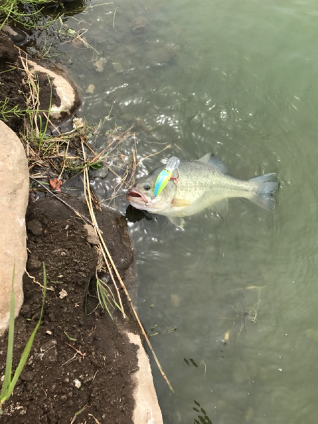 プロショップオオツカ バスフィッシング用品ネット通信販売 ブログ写真 2017/05/10