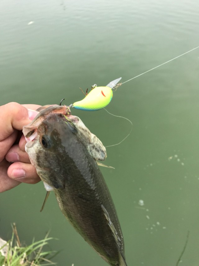 プロショップオオツカ バスフィッシング用品ネット通信販売 ブログ写真 2017/05/10