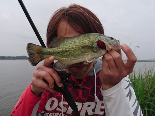 プロショップオオツカ バスフィッシング用品ネット通信販売 ブログ写真 2017/05/14