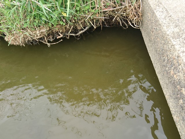 プロショップオオツカ バスフィッシング用品ネット通信販売 ブログ写真 2017/05/14